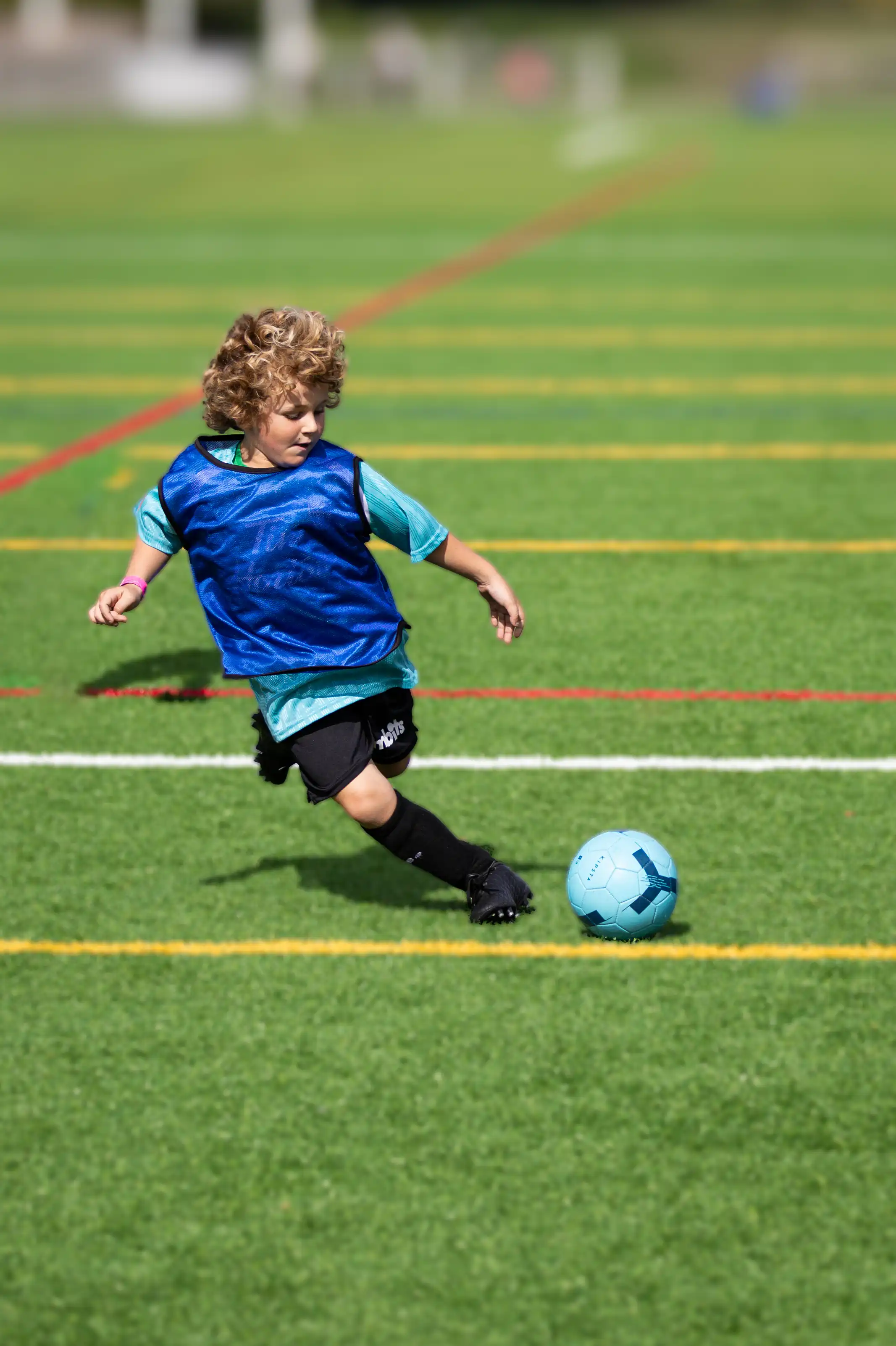 Sports & Action